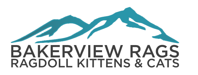 Bakerview Rags :: Ragdoll Kittens & Cats
